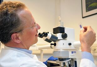 Prof. Dr. Paul La Rosée leitet das Konsultationszentrum für maligne Lymphome am Universitätsklinikum Jena. Foto: UKJ/Szabó