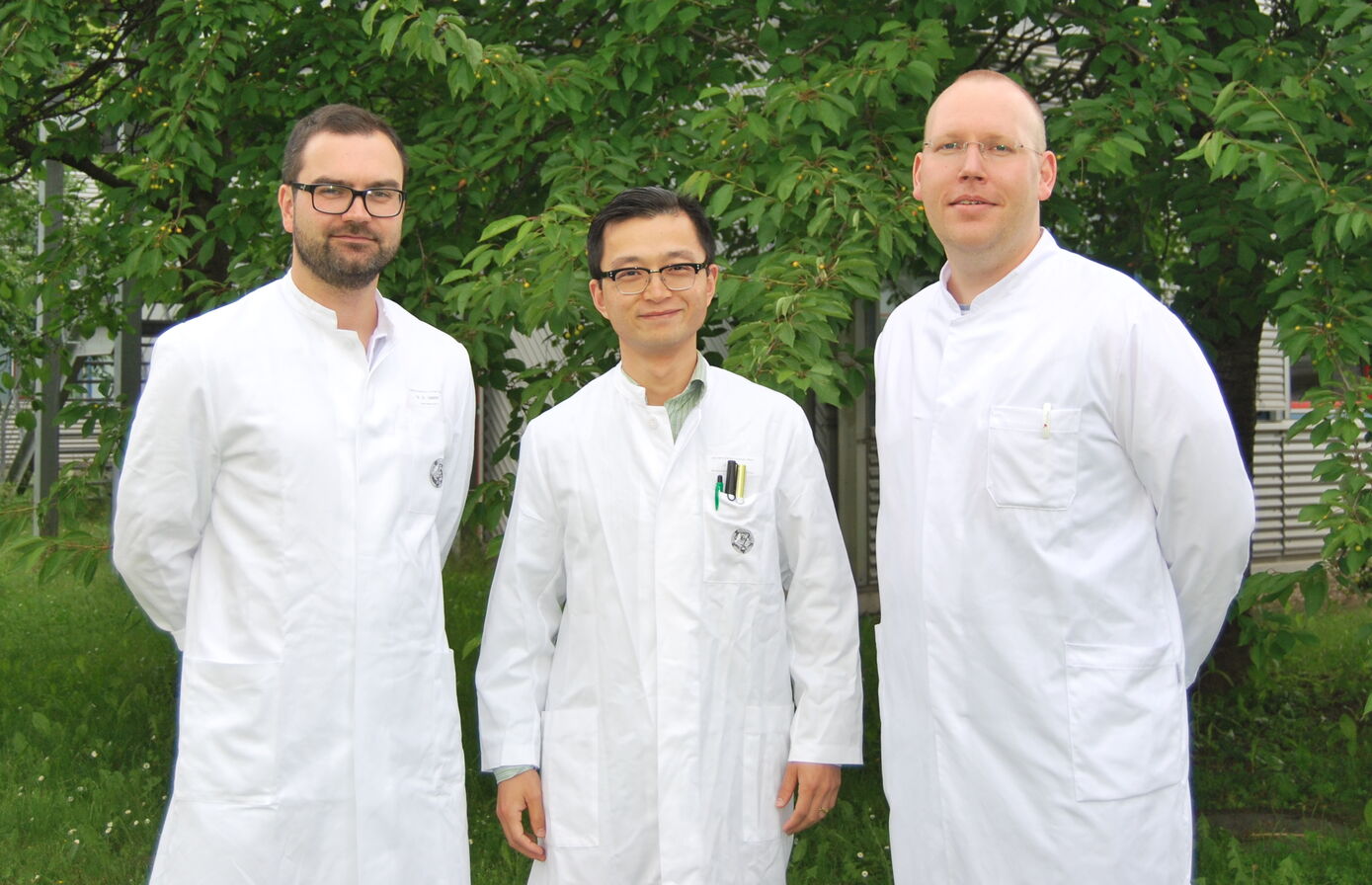 (von li.) Dr. Christoph Löschner, Weiwei Wei, Dr. Philipp Felgendreff 
Foto: UKJ/Dr. rer. nat. Claudia Schindler 
