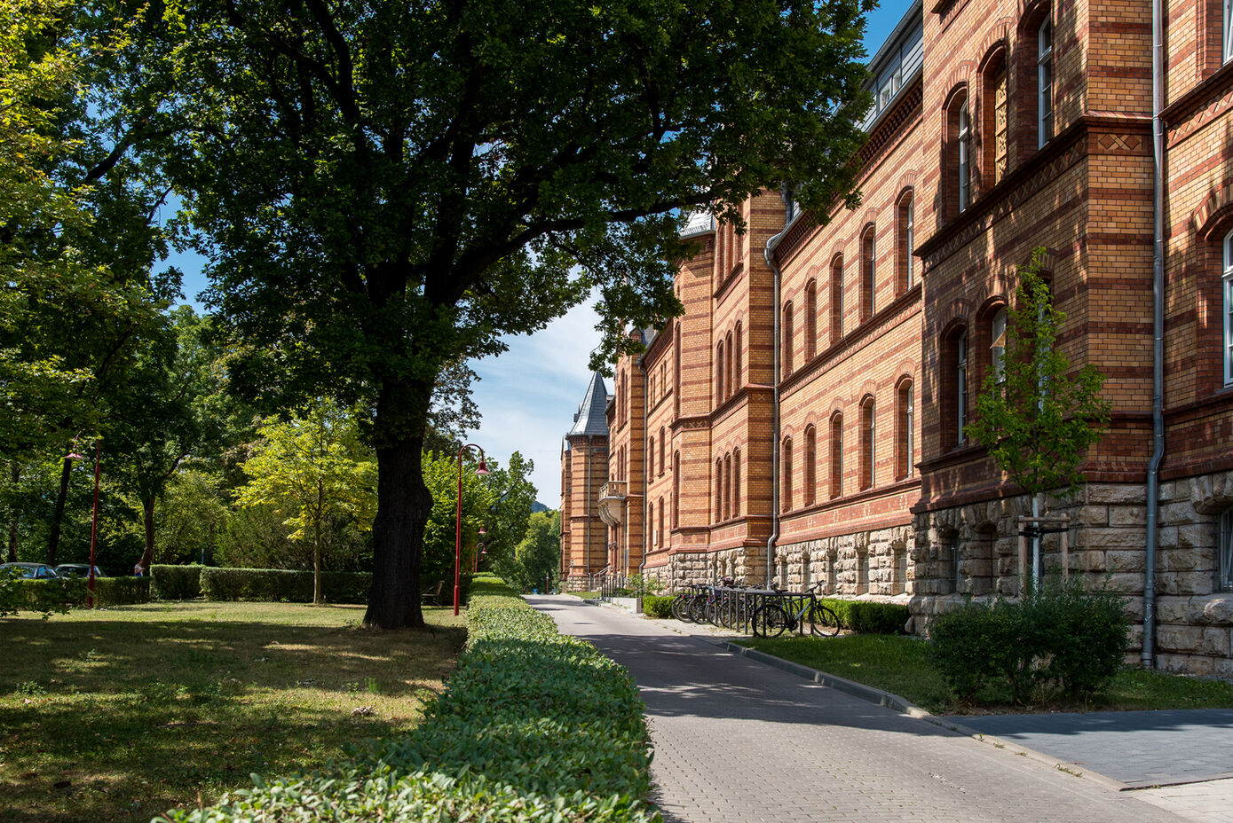 Die Klinik für Psychiatrie beteiligt sich an einer gemeinsamen Hotline des Gemeindepsychiatrischen Verbundes, die Menschen mit seelischen Belastungen in der gegenwärtigen Situation hilft. Foto: Hellmann