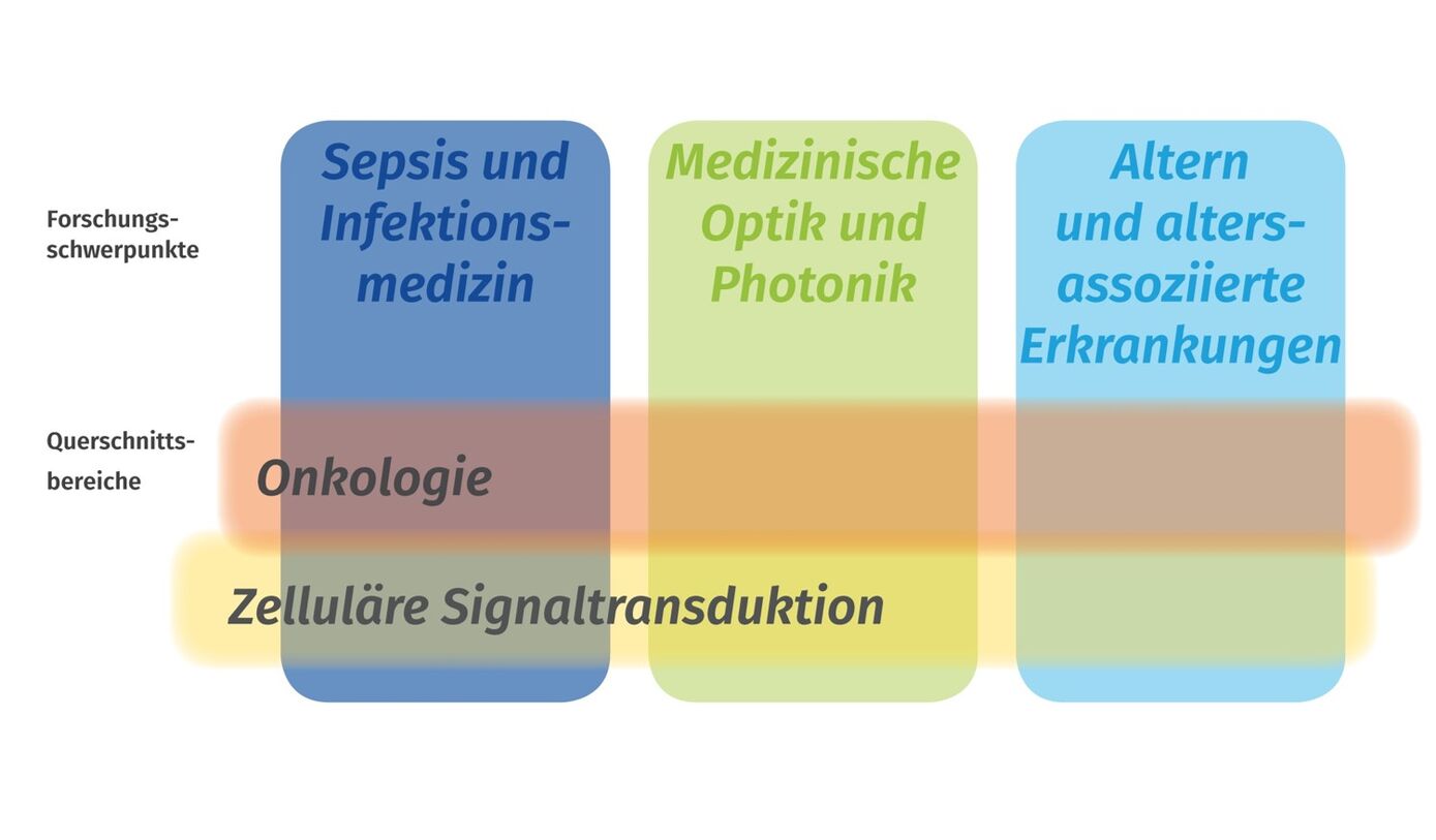 Forschungsschwerpunkte am UKJ