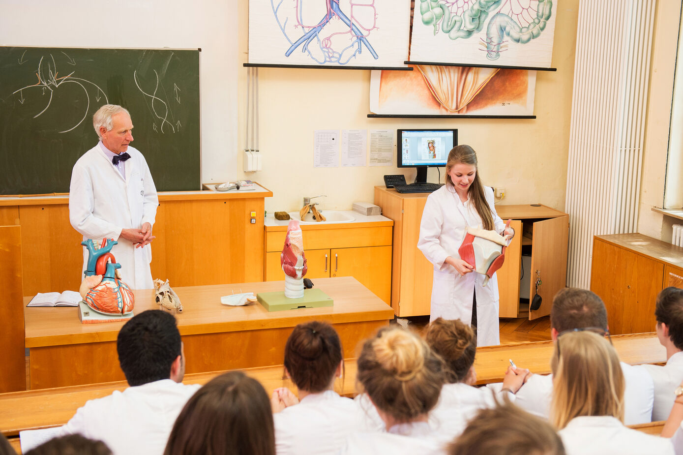 Im Wintersemester 2021/22 beginnen 286 Erstsemester, zehn Prozent mehr als in den vergangenen Jahren, ein Humanmedizinstudium an der Friedrich-Schiller-Universität Jena. 
Archivfoto: Christoph Worsch/FSU Jena
