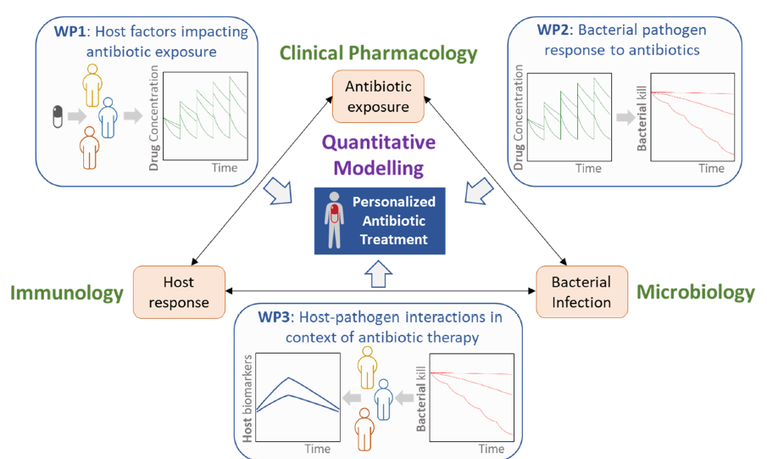 Research approach of the TIPAT consortium: The combination of knowledge about the host, the pathogen and the drug exposure should enable personalized treatments in the future.  