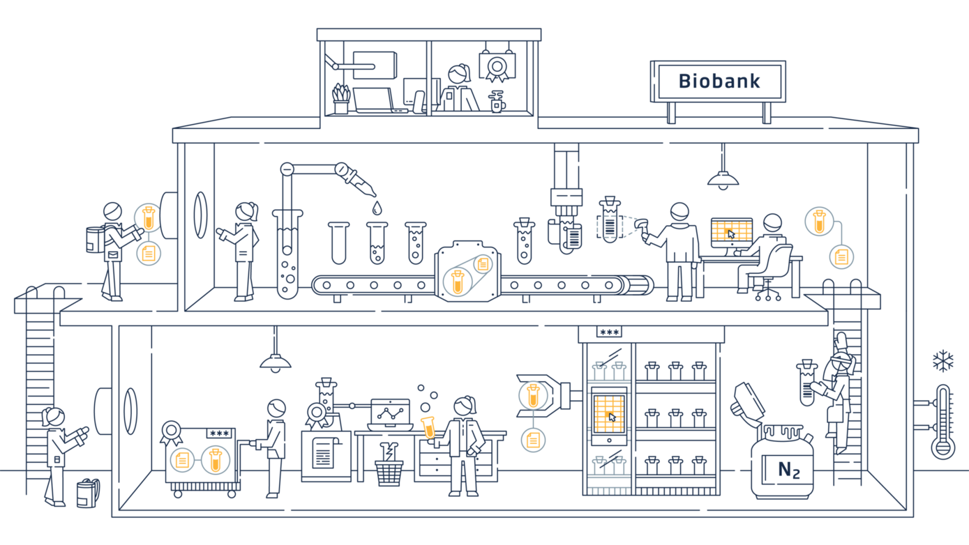 Darstellung einer Biobank mit Labor- und Lagerbereich. Quelle: German Biobank Alliance (GBA)/ German Biobank Node (GBN)