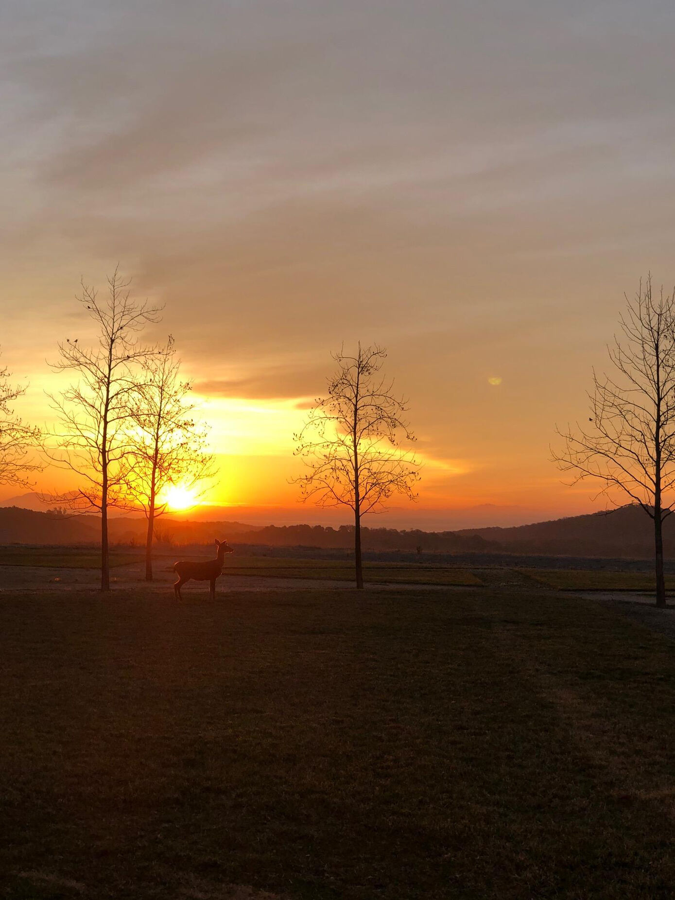 Sonnenaufgang vorm Institut