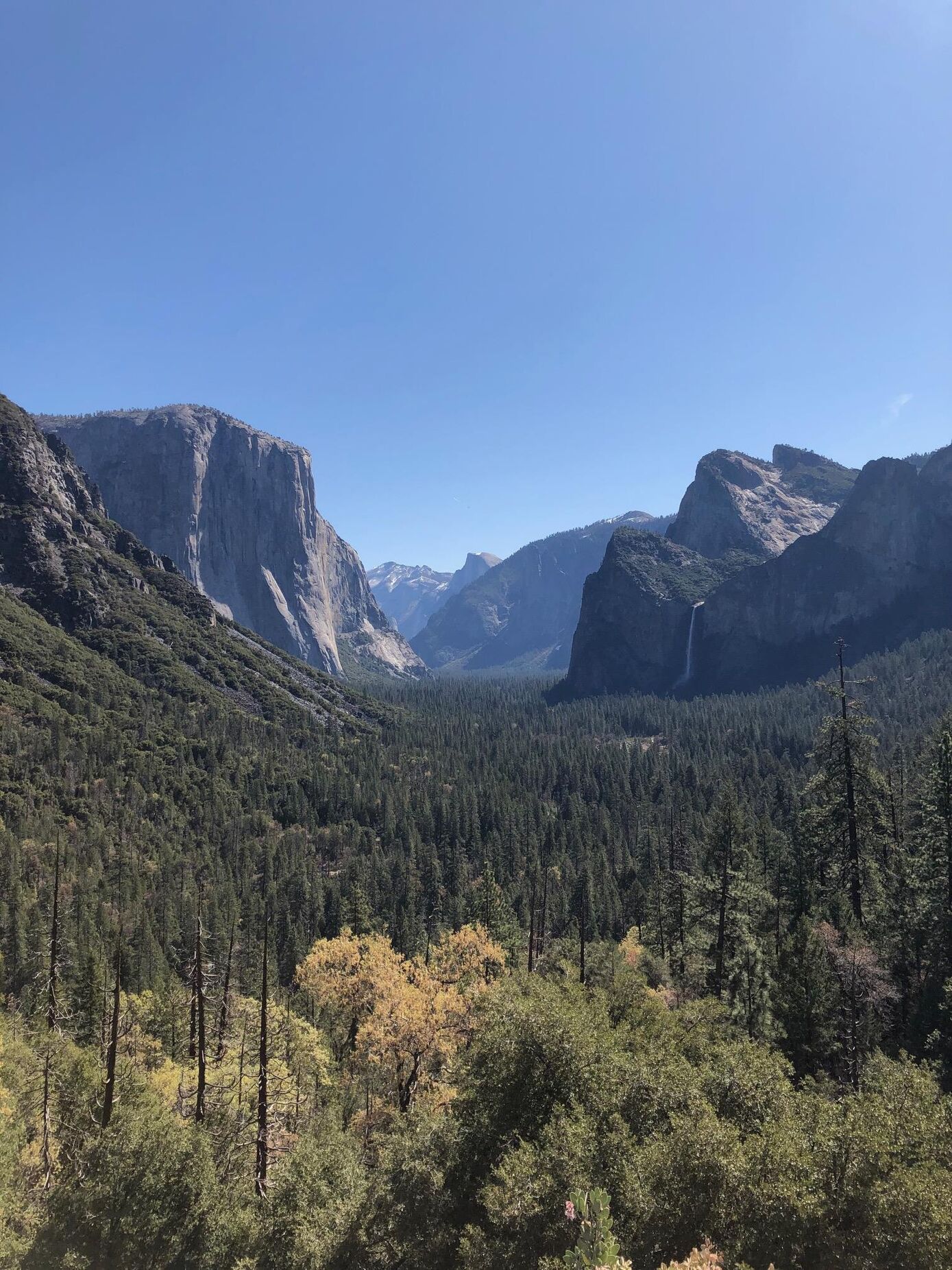 Urlaubseindruck aus dem Yosemite-Nationalpark