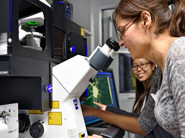 Fig. 3: Using high-resolution 3D live microscopy, biochemists at Jena University Hospital (Maryam Izadi (front) and Wenya Hou (back)) were able to elucidate a signaling pathway that is important for the dendritic arborization of nerve cells.