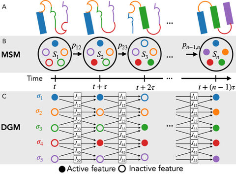 Dynamic graphical model (DGM) (A) cartoon representation of protein conformational states along a trajectory. (B) MSM with Markov states, Si, and transition probabilities between states Si and Sj, pij. The number of different Markov states, Si, may grow exponentially with the number of features, and only feature combinations that have been observed can be encoded in Markov states. (C) DGMs, here illustrated using a dynamic Ising model, represents the current state of the system via the states of its subsystems, σi that are coupled by parameters Jij. The DGM can encode exponentially many states, although the number of parameters grows only quadratically with the number of subsystems.