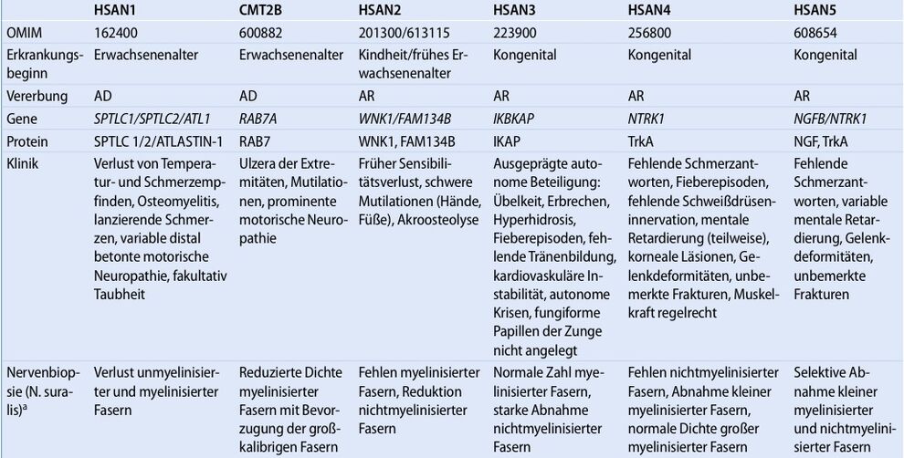 Einteilung der HSAN: aus Kurth I, Medizinische Genetik Vol 23, Nummer 1, 2011