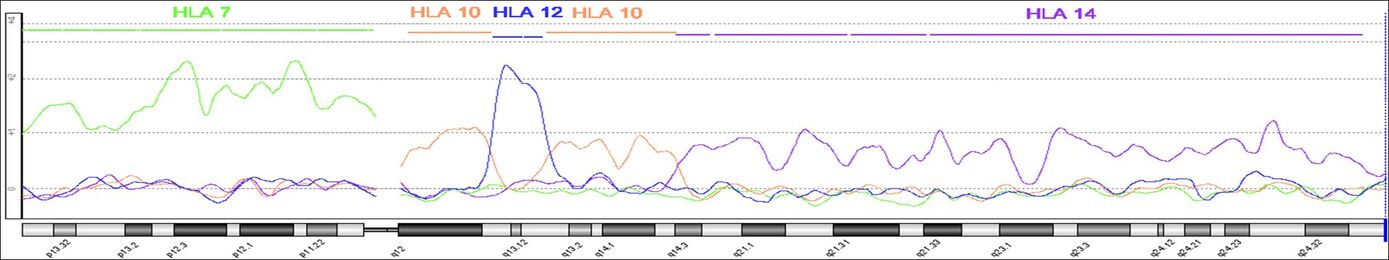 Kombinierte array-CGH (180k Agilent) Ergebnisse mikrosezierter HLA-chromosomen 7, 10, 12 und 14 homolog zu HSA Chromosom 12 (Weise et al., 2015).