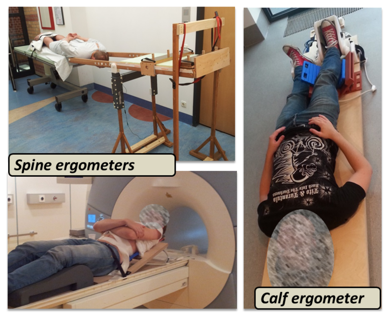 Available MR-compatible ergometers for loading the spine (left charts) and leg muscles (right chart).