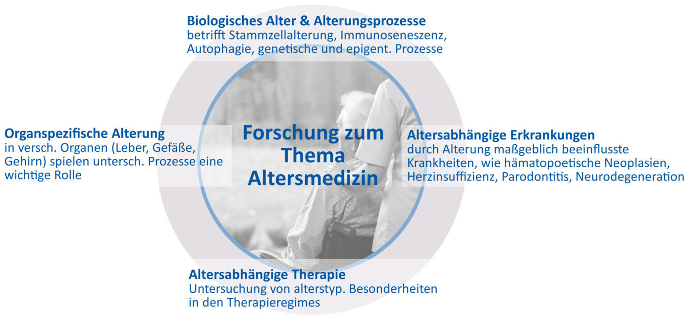  Übersicht über die Themenfelder, die in der JSAM adressiert werden.