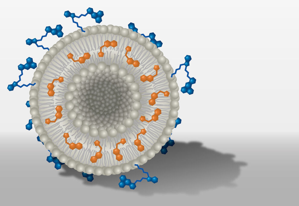 Schemazeichnung eines beladenen Nanotransporters: Das Liposom (grau) ist mit Wirkstoff- (orange) und Farbstoffmolekülen (blau) ausgestattet. Bild: M. Leitner/UKJ