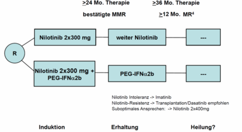 Fig. 1: Studienschema