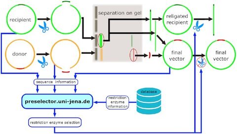 doi: 10.1093/nar/gkab406.