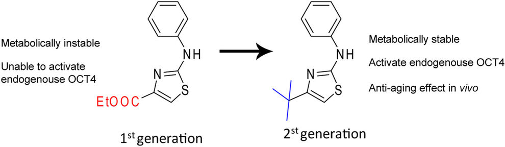 doi: 10.1016/j.ejmech.2023.115513