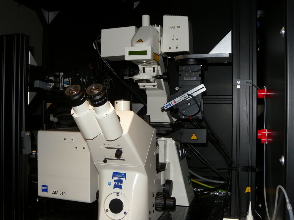 Figure 1: Zeiss LSM510 - confocal laser scanning microscope