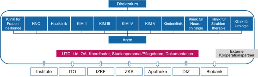 
Strukturelle Organisation der interdisziplinären Studieneinheit.