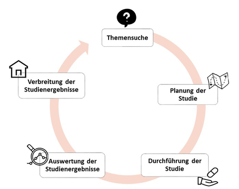 Studienphasen (Quelle: UKJ_IfA)