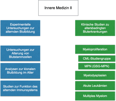 KIMII-1Bild