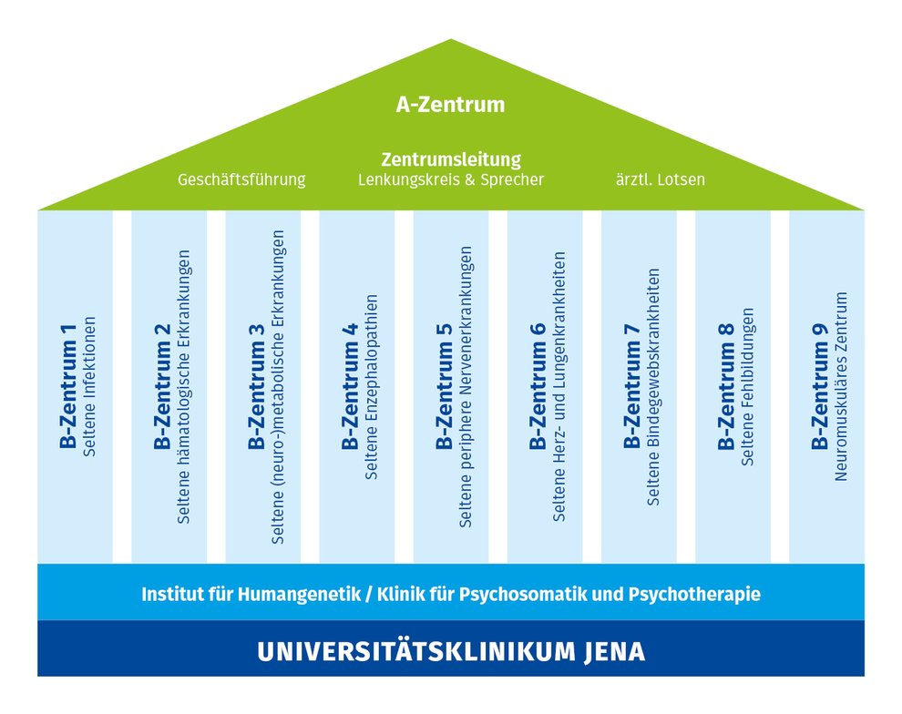 Organigramm des Zentrums für Seltene Erkrankungen (ZSE) Jena.